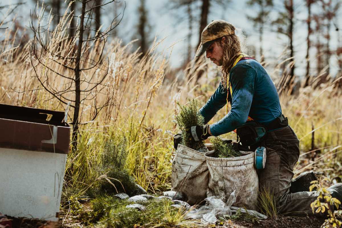 The Best Tools for Foraging and Harvesting in Nature